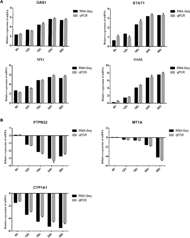 FIGURE 6