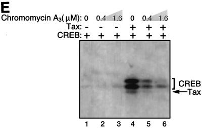 FIG. 5