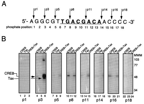 FIG. 5