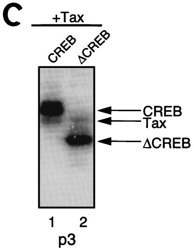 FIG. 5