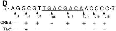 FIG. 5