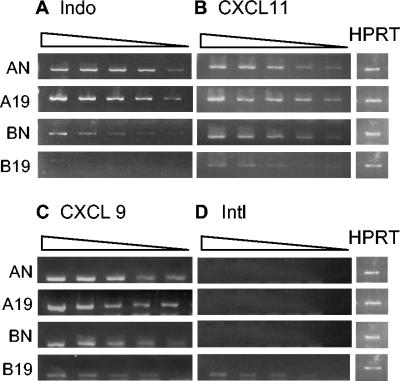 FIG. 4.