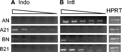 FIG. 6.