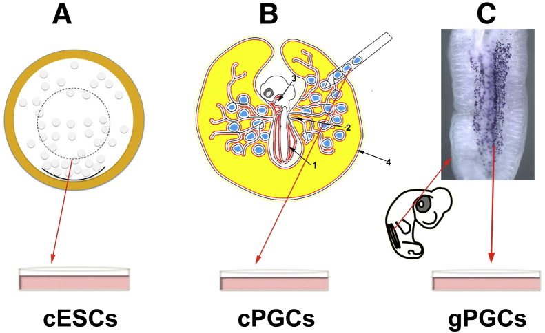 Figure 2