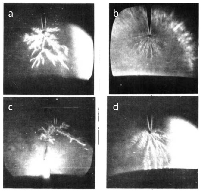 Figure 18