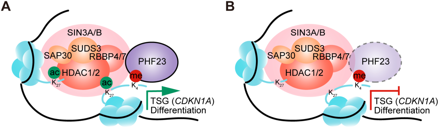 Figure 6 |