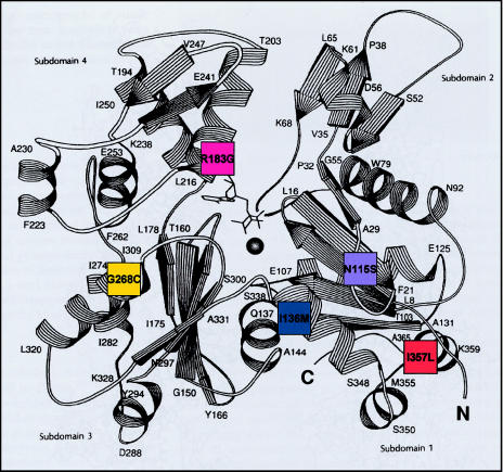 Figure  1