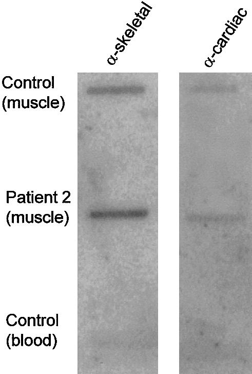 Figure  6