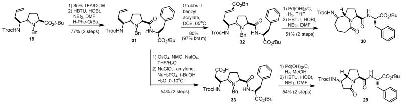 Scheme 7