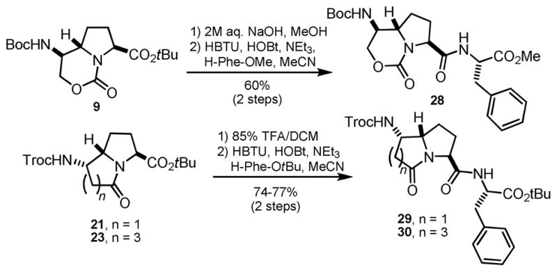 Scheme 6