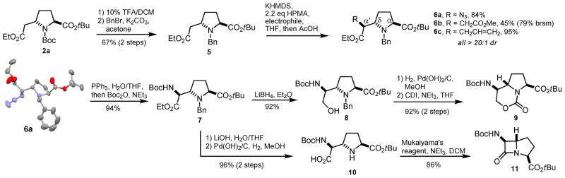 Scheme 2