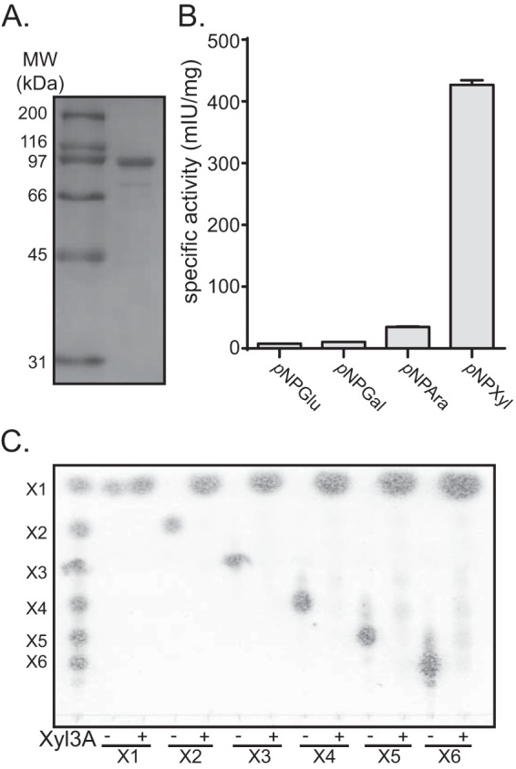 FIG 6