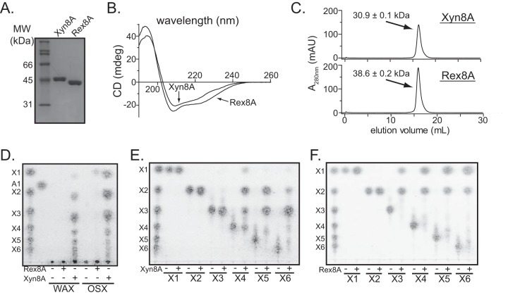 FIG 2