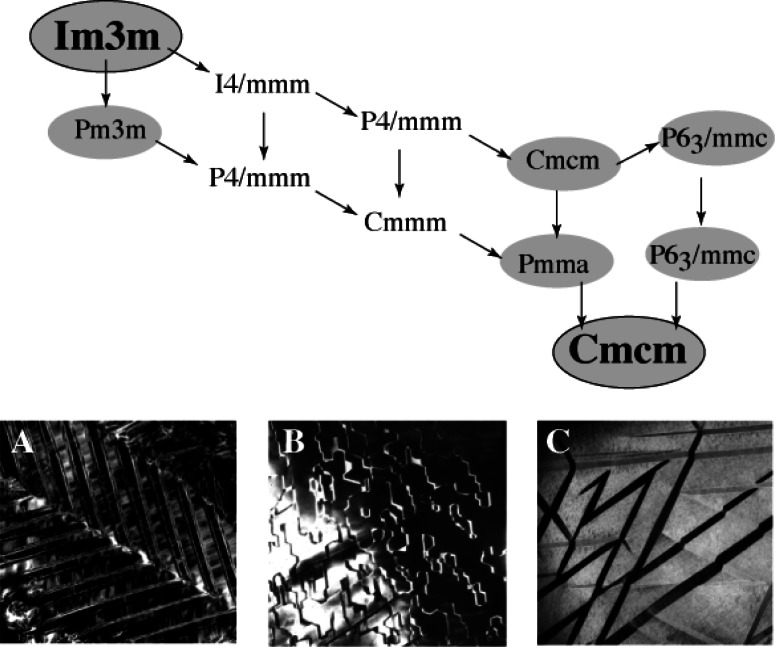 Fig. 11