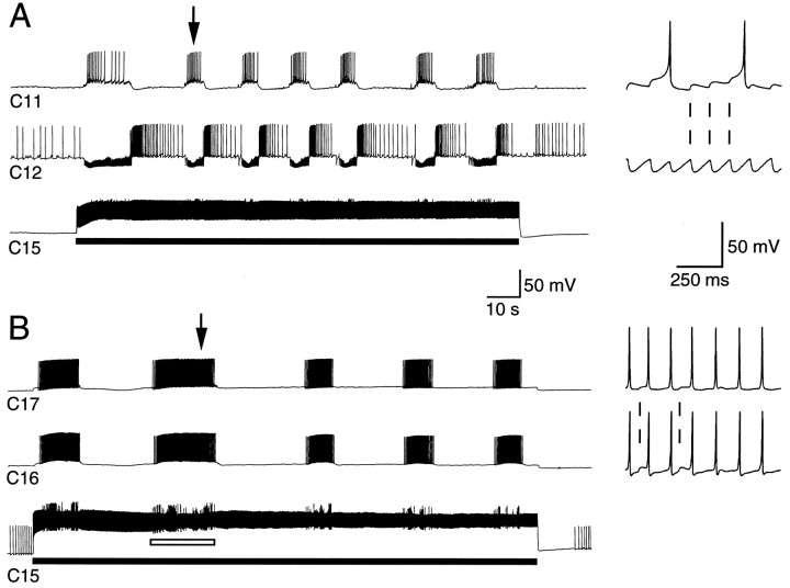 Fig. 3.