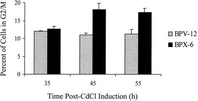 FIG. 7