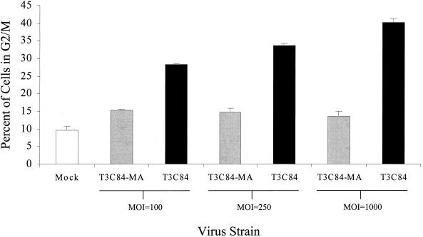 FIG. 6