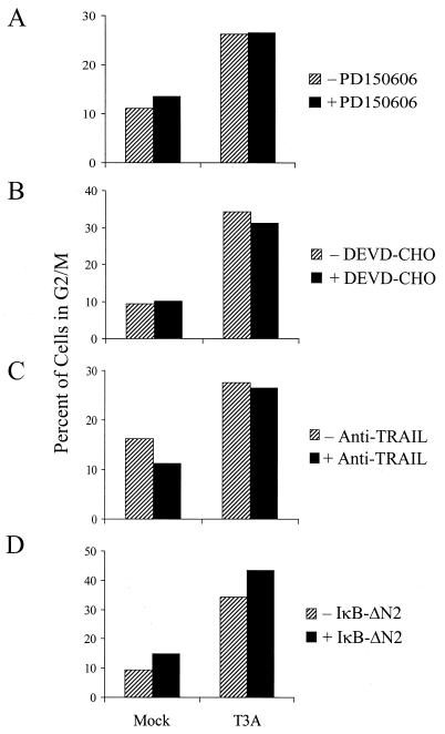 FIG. 8