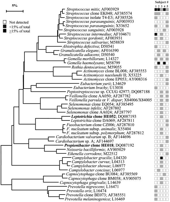 FIG. 9.