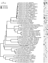 FIG. 8.