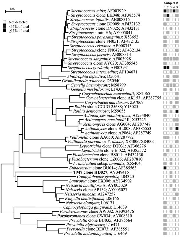 FIG. 8.