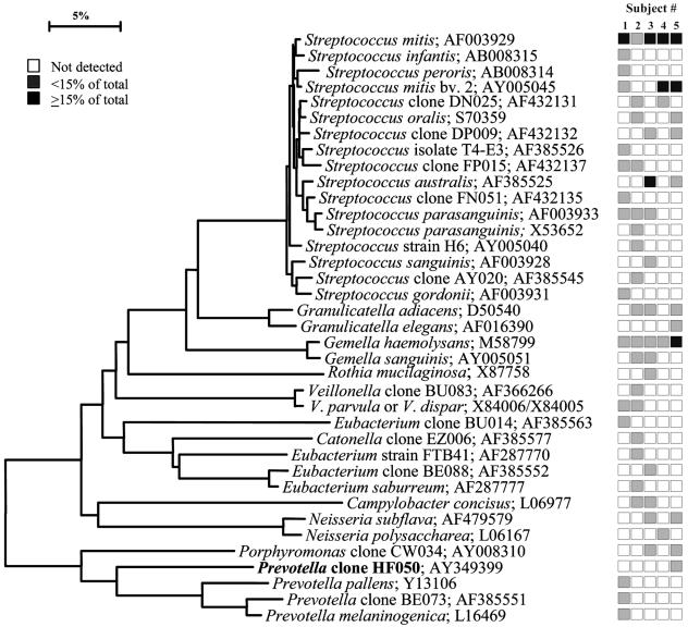 FIG. 6.