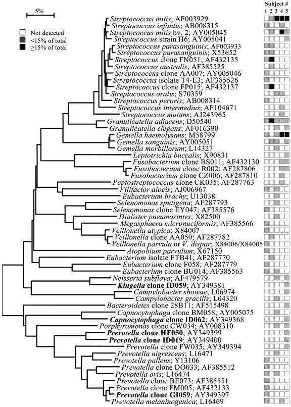 FIG. 7.