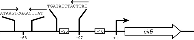 Fig. 1. 