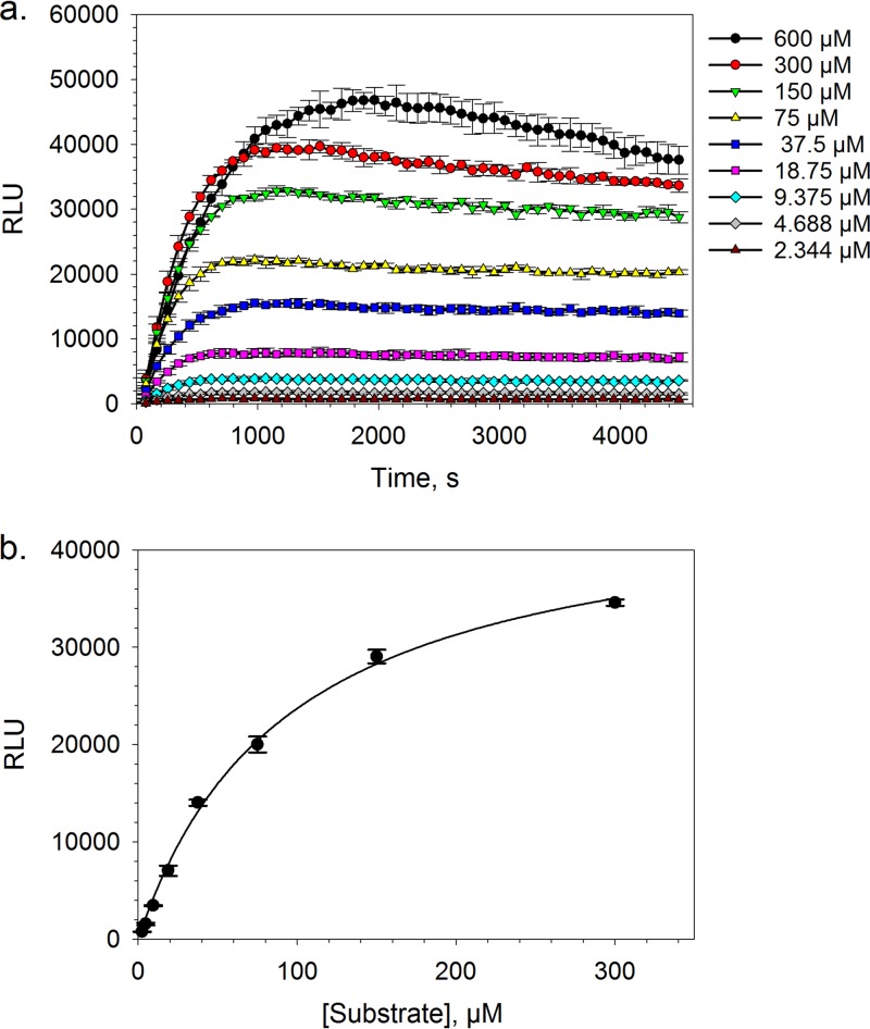 FIG 3