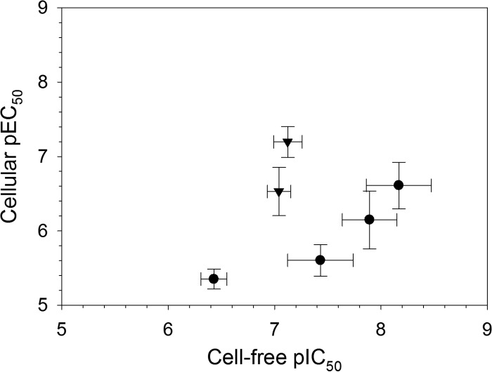 FIG 5