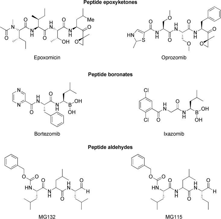 FIG 6