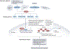 Figure 2 |