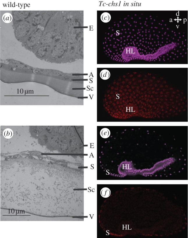 Figure 3.