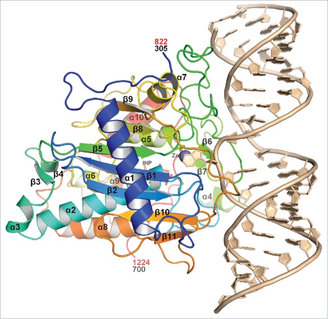 Figure 2.