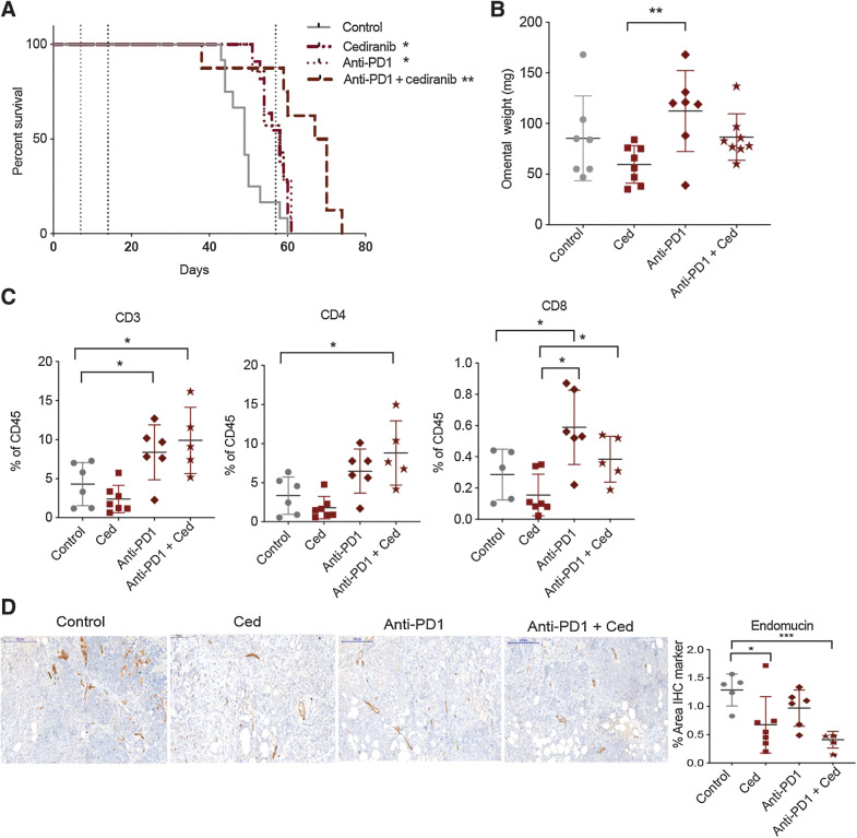 Figure 5. Combination of anti–PD-1 and cediranib increases survival in 60577 model. Mice injected with 60577 cells were treated with control, cediranib, anti–PD-1, or combination of cediranib plus anti–PD-1. Vehicle control and cediranib were administrated by oral gavage 5 mg/kg five times a week, IgG control and anti–PD-1 were given i.p. 2 mg/kg twice a week. Cediranib treatment commenced a week after cell injection and was continued till endpoint, anti–PD-1 treatment started at 2 weeks following cell injection and was given for a period of 6 weeks (indicated by dotted lines). A, Survival curve of 60577 model treated with cediranib, anti–PD-1, or the combination (n = 7 per group). B, Quantification of omental weight at endpoint. C, Flow cytometric analysis of lymphoid infiltrate in all treated groups. D, IHC staining for endomucin in all groups. Ced, cediranib.