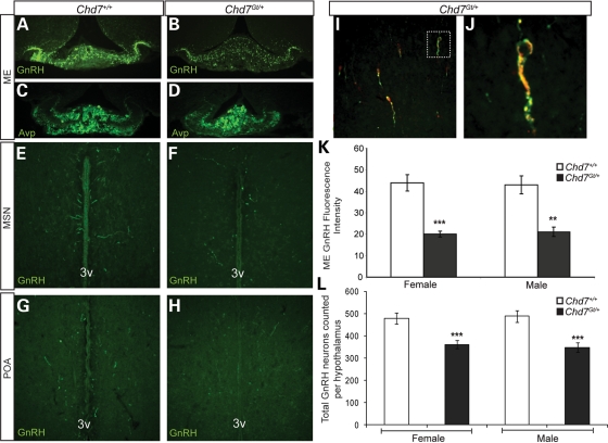 Figure 3.