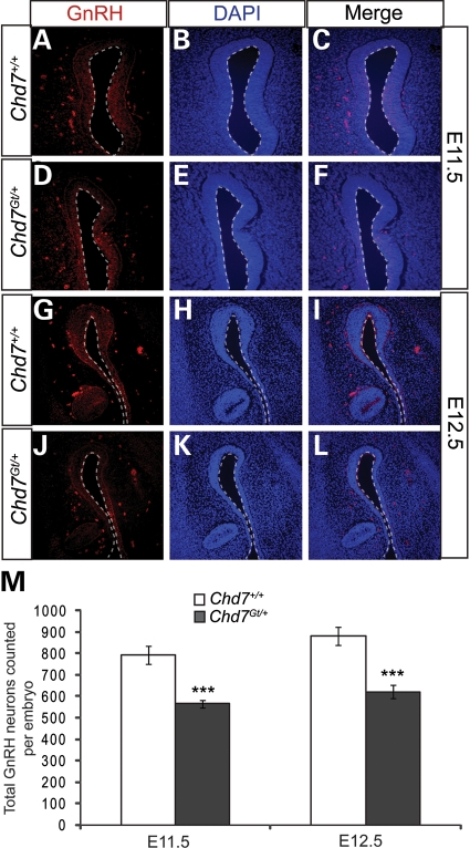 Figure 4.