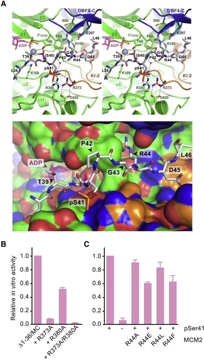 Figure 3