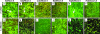 FIG. 3.