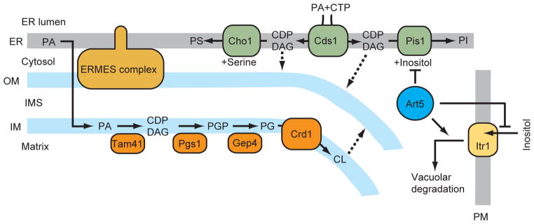 Figure 6