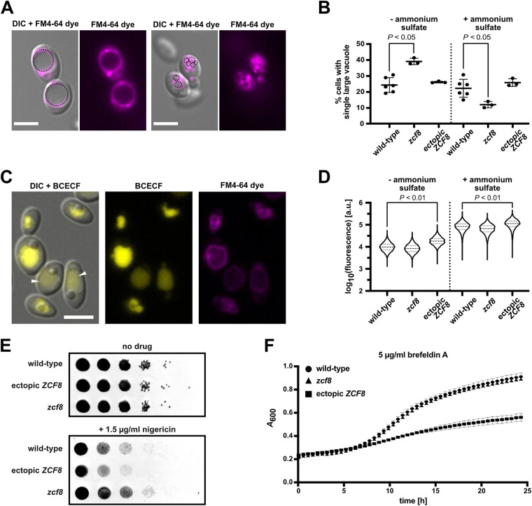 FIG 3