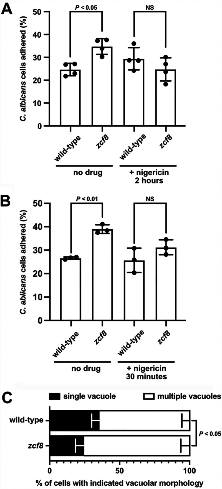 FIG 6