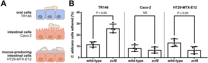 FIG 5