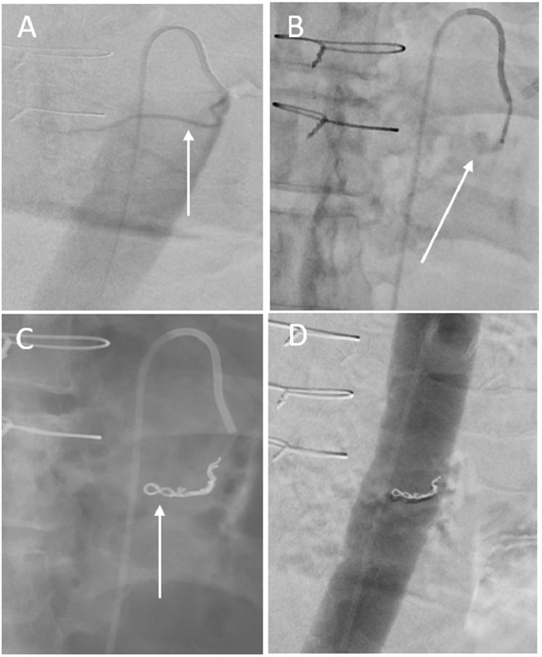 Fig. 2 –