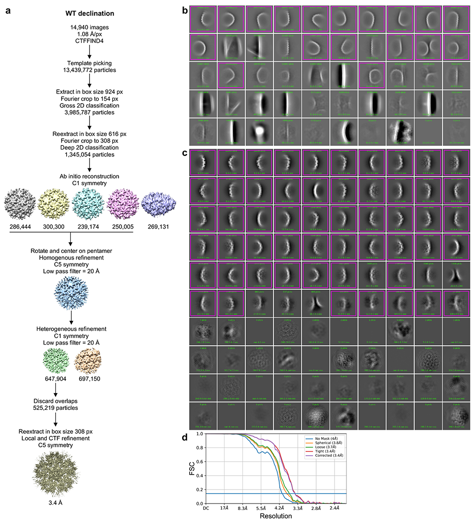 Extended Data Figure 2.