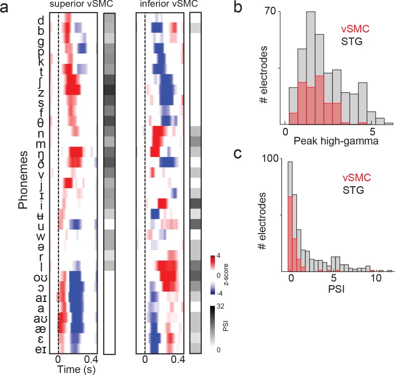 Figure 5—figure supplement 1.