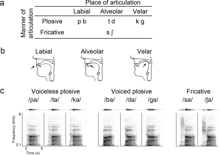 Figure 2—figure supplement 1.