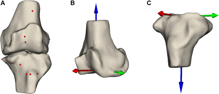 FIGURE 3