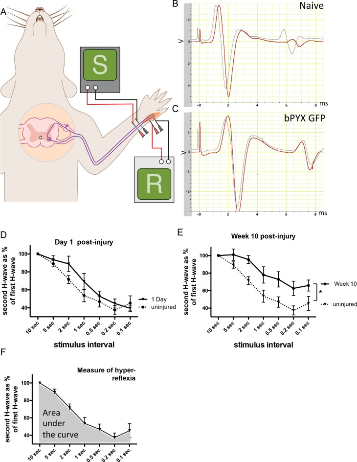 Figure 1—figure supplement 3.