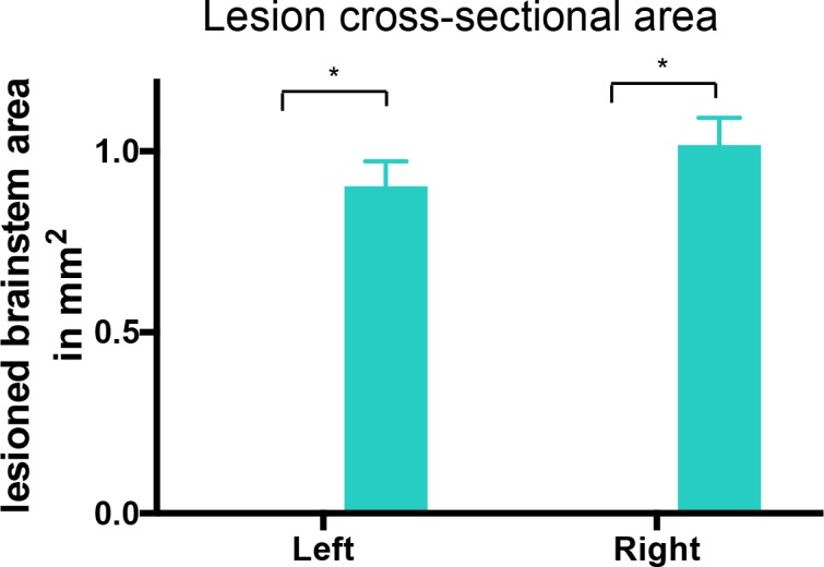 Figure 1—figure supplement 1.